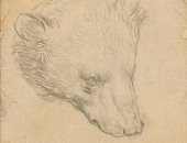 بيع رسم ليوناردو دافنشي لرأس دب بمبلغ قياسي بلغ 8.8 مليون جنيه إسترليني