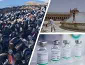 باختصار.. أهم الأخبار العالمية والعربية حتى الـ12 ظهرا.. دولة المغرب تعلن الأربعاء 21 يوليو أول أيام عيد الأضحى.. سلسلة انفجارات غامضة تهز إيران.. درجة الحرارة تتسبب فى نفوق بلح البحر والمحار على شواطئ كندا