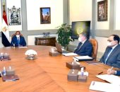 الرئيس السيسى يوجه بمواصلة تطوير استغلال الأصول التابعة لقطاع الأعمال العام