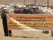 وصول رءوس أضاحى الأوقاف إلى مجزر أبي سمبل بأسوان.. فيديو وصور