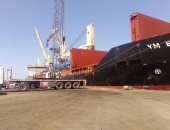 اقتصادية "قناة السويس": تفريغ 964 طن حديد بميناء غرب بورسعيد
