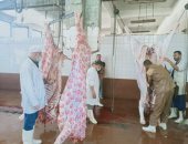 محافظ الغربية: الذبح داخل المجازر بالمجان طوال فترة عيد الأضحى