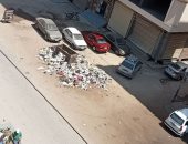 شكوى من تراكم القمامة فى شارع سكة سندوب بالمنصورة.. ومحافظة الدقهلية ترد