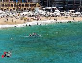 4 ملايين زائر لشواطئ الإسكندرية.. وننشر قائمة أسعار البلاجات المجانية (لايف)