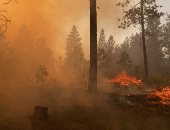  "تشويه كريك".. آخر سلسلة حرائق الغابات في أمريكا.. ألبوم صور