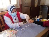 كشف طبى على 163 ألف طفل وسيدة ضمن مبادرتى صحة الأم والجنين بكفر الشيخ