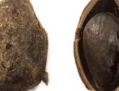 اكتشاف حبة فستق عمرها 2000 عام فى بريطانيا.. اعرف حكايتها