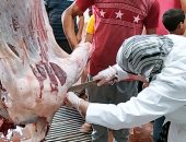 محافظ القاهرة يلغى إجازات عاملي المجازر ويوجه بتكثيف الحملات على محال بيع اللحوم