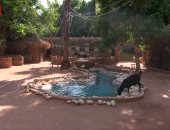 فى أول أيام عيد الأضحى.. تعرف على إجراءات حديقة الحيوان لاستقبال الزوار 