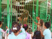 المصريون يودعون إجازة عيد الأضحى بالتزاحم على حديقة الحيوان