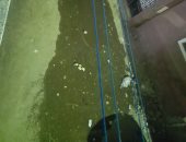 أهالى منشأة عبد الله بالفيوم يناشدون بإدراجهم ضمن حياة كريمة.. والمحافظة ترد