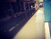 سكان عمارات الزراعين بشبين الكوم يناشدون حل مشكلة الصرف.. والشركة ترد