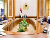 الرئيس السيسى يتابع الشبكة الوطنية للطوارئ ويوجه بالتصنيع المحلى للقاح كورونا