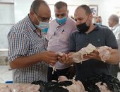 ضبط سلع منتهية الصلاحية بدسوق ومواد تموينية معدة للبيع بالسوق السوداء