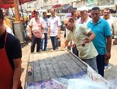 حملات مكثفة للنظافة والتجميل والتصدى لمخالفات البناء بمدينة دسوق فى كفر الشيخ