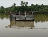 الفيضانات تتسبب فى مقتل العشرات وعزل مئات الآلاف فى بنجلادش.. صور
