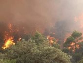 الإذاعة الجزائرية: 30 سنة سجن للمتورطين فى الحرق العمد للغابات