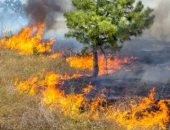 خبراء يحذرون: إيطاليا تواجه ثلاثة أضعاف العدد المعتاد من الحرائق الصيف الحالى