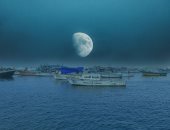 بلال يشارك "صحافة المواطن" بموهبته فى التصوير بتجسيد الطبيعة بصور مميزة