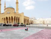 لبنانى يدخل موسوعة "جينيس" بعد رسم علم بلاده على مساحة 200 متر مربع