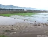 غرق الأراضى الزراعية والمنازل فى مياه الفيضانات بكوريا الشمالية.. فيديو وصور