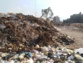 شكوى من تراكم القمامة فى قرية ميت الكرماء بالدقهلية.. ورئيس المدينة يرد