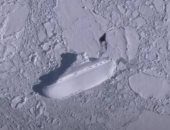 اكتشاف هيكل عملاق غريب فى القارة القطبية الجنوبية.. اعرف القصة
