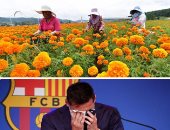 صور.. العالم هذا المساء.. محمد صلاح يظهر بـ"نيولوك" جديد مع ليفربول فى ودية بلباو.. انطلاق موسم قطف زهور الأقحوان في شانغهاى بالصين.. والساحر ميسي يغادر كامب نو بالدموع ويؤكد: سأعود يوما إلى برشلونة