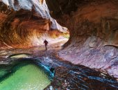 أمريكا تتحدى قيود كورونا.. المتنزهات الوطنية الأكثر شعبية فى ظل الجائحة