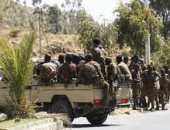 بلومبرج: حكومة إثيوبيا ترفض وقف إطلاق النار وتتعهد بمواصلة القتال ضد تيجراى