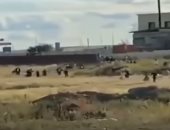 زبائن يهربون من مطعم بكازاخستان خوفا من المفتشين لانتهاكهم قيود كورونا.. فيديو