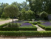 جولة فى حدائق "كلارنس هاوس".. صممها الأمير تشارلز بنفسه تخليدًا لذكرى جدته