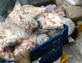 إعدام أسماك مجهولة المصدر تم ضبطها داخل ثلاجة لحفظ اللحوم بالجيزة