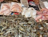 جولة داخل سوق السمك .. أسعار الأسماك تبدأ من 23 جنيها والجمبرى بـ100 جنيه