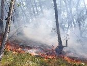 اندلاع حرائق ضخمة فى أرض السكان الأصليين بالبرازيل ومطالب بإجراء تحقيق.. فيديو