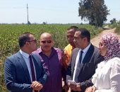 نائب محافظ دمياط يبحث إنشاء كوبرى مشاة على ترعة بحر بسنديلة بكفور الغاب