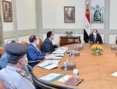 الرئيس السيسي يوجه بتعزيز جهود تطوير قطاع التعدين فى مصر