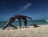 سحلية "أجوانا" تعض مدربة يوجا خلال ممارستها الرياضة على شاطئ الباهاما.. صور