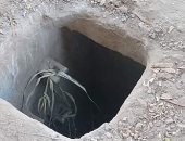 شكوى من عدم وجود غطاء لبالوعة صرف بقرية دروة بالمنوفية.. ورئيس المدينة يستجيب