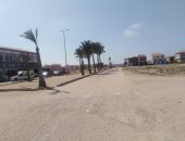 شارع النخيل برأس البر منطقة استثمار عقارى تميزها زراعة النخل.. صور