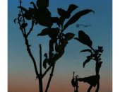 "نور" تشارك "صحافة المواطن" موهبتها بالتصوير