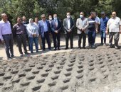 محافظ المنوفية يتفقد تطوير ورفع كفاءة طريق شبين قويسنا المزدوج.. فيديو وصور