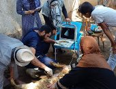 الزراعة: إطلاق قافلة بيطرية لعلاج 3418 رأس ماشية بمحافظة الفيوم