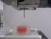علماء يتمكنون من صنع أول شريحة لحم بواسطة طابعة ثلاثية الأبعاد.. فيديو وصور