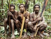 قبيلة الكورواى.. يعيشون في غابات بابوا ولا يرتدون الملابس "فيديو"