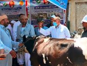 قافلتان بيطريتان بقرى مركز الحسينية بالشرقية ضمن مبادرة "حياة كريمة"