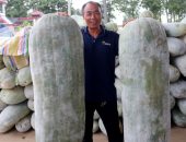 مزارع صيني ينتج بطيخ عملاق بوزن 90 كيلوجرام وطول 1.45 متر.. صور
