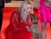 كيت هدسون تلهو مع الكلب على السجادة الحمراء في فينسيا.. صور