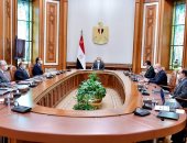 الرئيس السيسي يوجه بتطوير وتحديث جميع المعاهد والمراكز البحثية