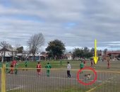 كلب يقتحم مباراة كرة قدم في تشيلي ويتسبب فى هدف.. فيديو
